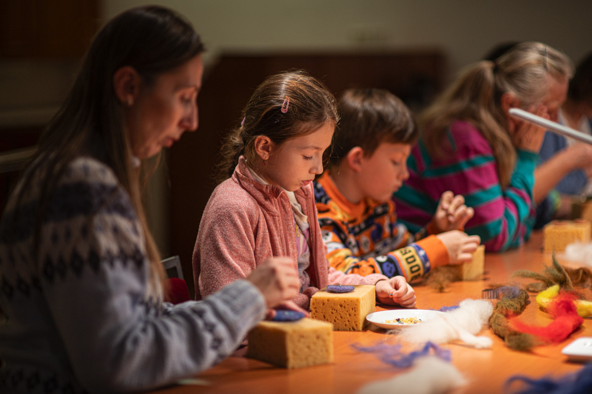 Workshop plstění/zpracování ovčí vlny, 19.11. 2024